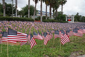 Flags in front of the American Police Hall of Fame honoring Peace Officer Memorial Day.