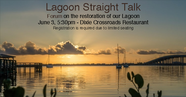 Updates on the Indian River
Lagoon Restoration Plan