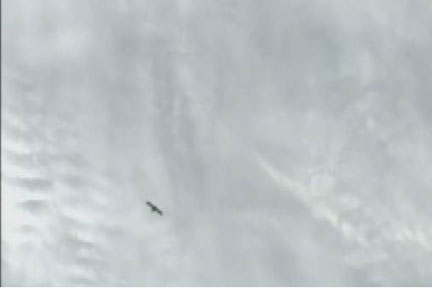 View of Dragon from the ISS 5/24/12