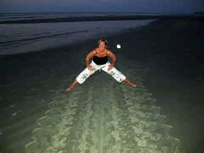 A Leatherback Sea Turtle crawl