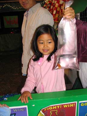St. Teresa's Fair - Titusville