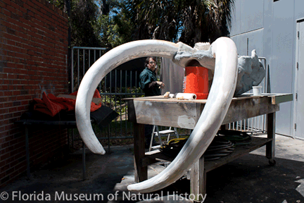 Mastodon Reconstruction - 1