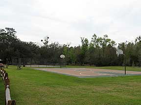 basketball court