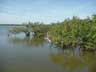 Eddy Creek lagoon side