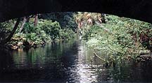 Looking west on the Addison Canal