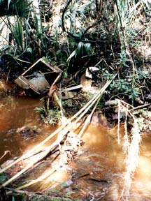 Trash in the Addison/Ellis canal gorge