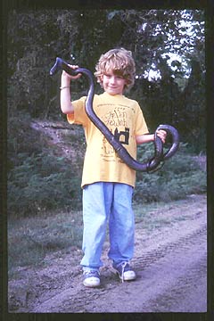 Mo with a beautiful Eastern Indigo Snake
