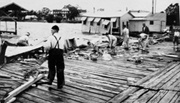 Scobie Dock after hurricane.