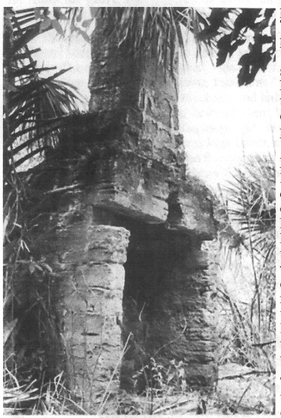 The remains of the Dummitt Mansiion firelace