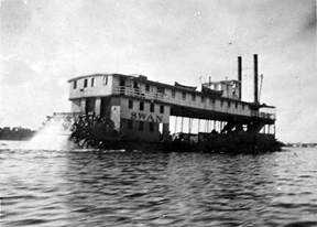 The Steamboat Swan - 2