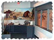 Brevard Museum of History & Natural Science