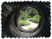 The Enchanted Forest Nature Sanctuary in Titusville, FL.