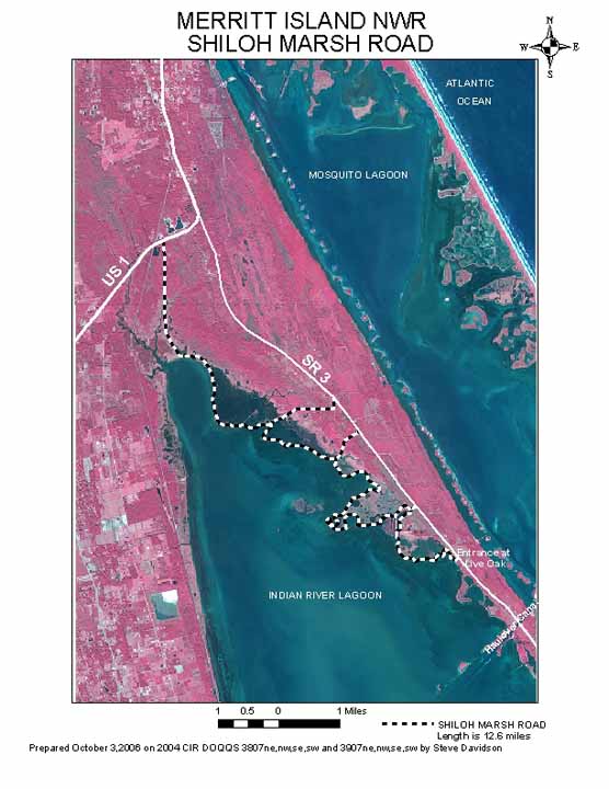 ShilohMarsh