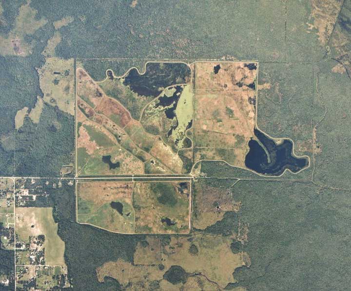 Aerial-OrlandoWetlands