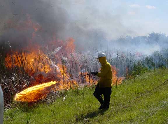 StartingControlledBurn