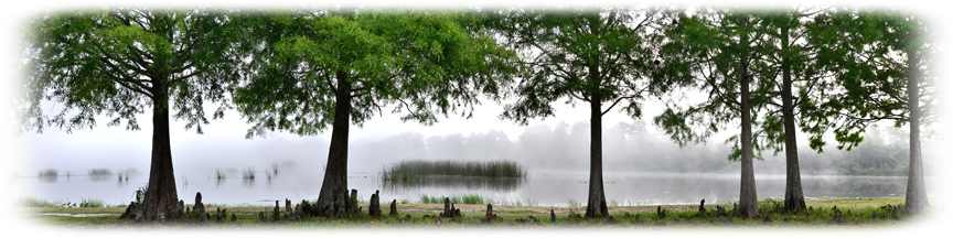 Fox Lake Park in the mist.