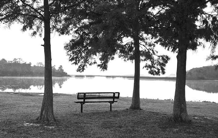 FoxLakeParkBench.jpg
