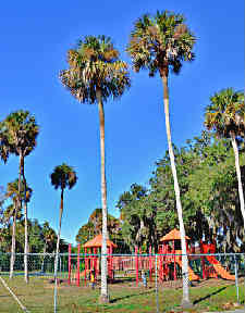 BlantonPark2.jpg