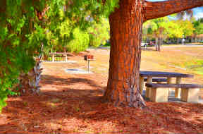BlueHolePicnic2.jpg