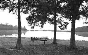 FoxLakeParkBench.jpg