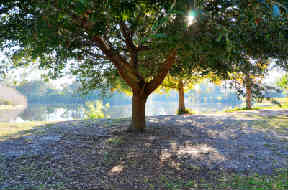 SherwoodPark1.jpg