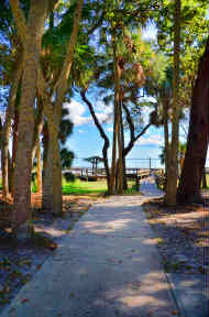 TomStathamWaterfront2.jpg