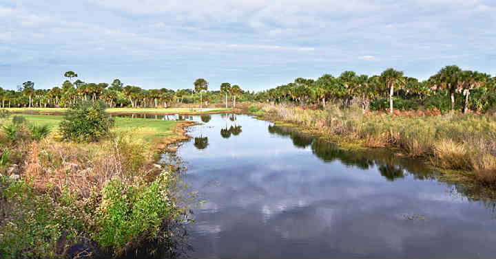 6MileCreek-creek2.jpg