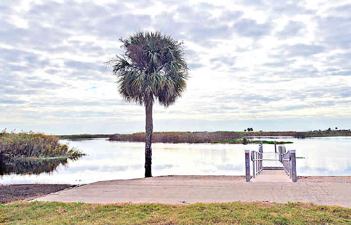 Hatbill-dock.jpg