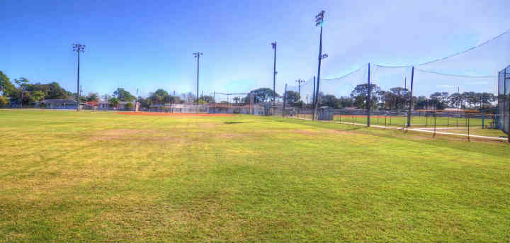FayPark3.jpg