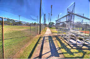 FayPark2.jpg
