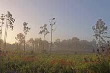 South Lake Sanctuary, Mims, FL