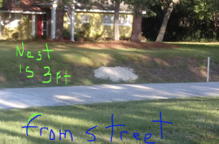 Burrow close to street & parking.
