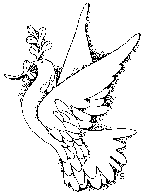 Dove