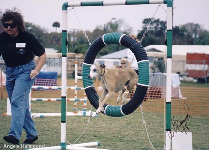 Tire Jump