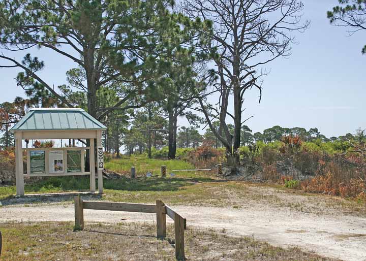 PINEFLATWOODSTRAIL2-ED