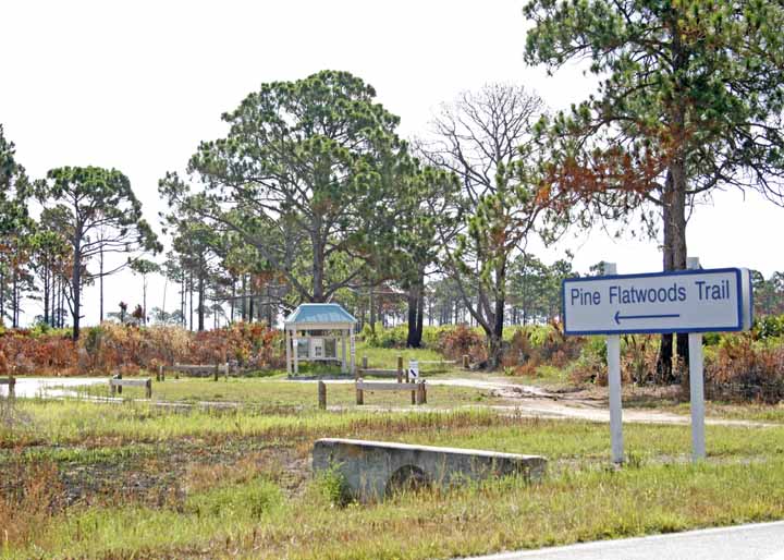 PINEFLATWOODSTRAIL3-ED