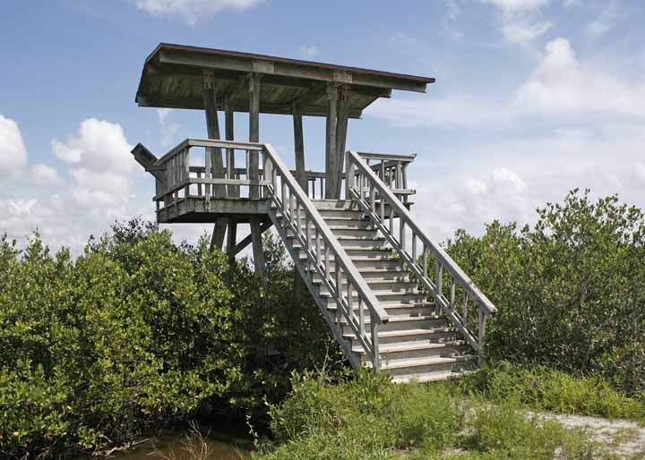 TOWEROVERLOOK1-ED