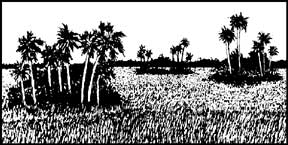 HabiChat header picture