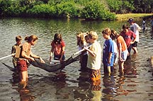 seining at Merritt Island NWR