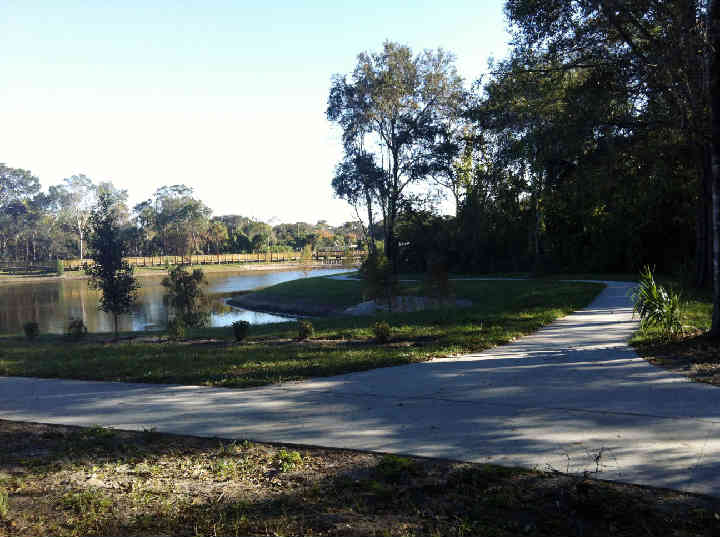 Trail junction. Take a short walk or enjoy the 1/3 mile walk around the pond.