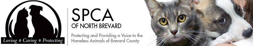 Society for the Prevention of Cruelty to Animals (SPCA) - Titusville, Florida