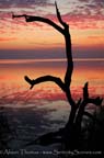 BioLabRoadSunrise