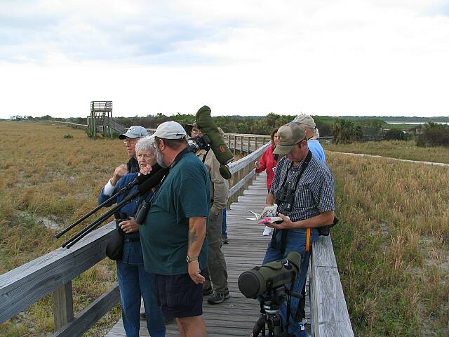 BoardwalkForShorebirds