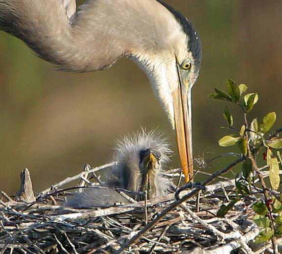 What Are You Looking#10009