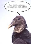 Comedy In Nature-6 