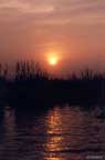 Sunset 7